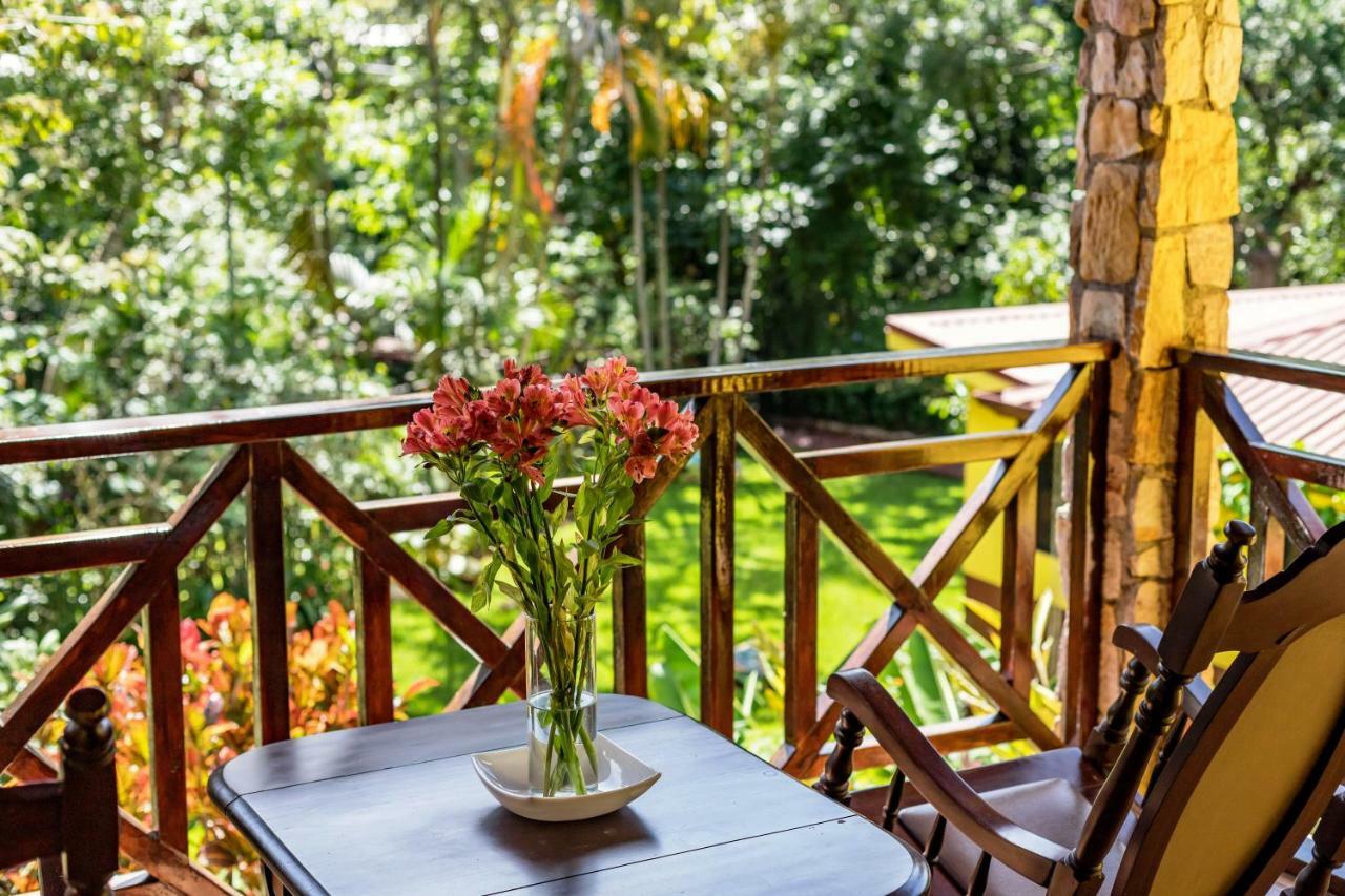 غريسيا La Terraza Guest House B&B المظهر الخارجي الصورة